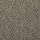 Masland Carpets: Granique Limestone